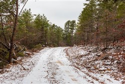 Stone Bridge Phase IV Tract 250