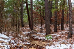 Stone Bridge Phase IV Tract 251