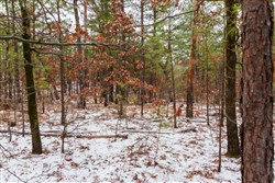 Stone Bridge Phase IV Tract 251