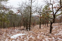 Stone Bridge Phase IV Tract 258