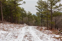 Stone Bridge Phase IV Tract 258