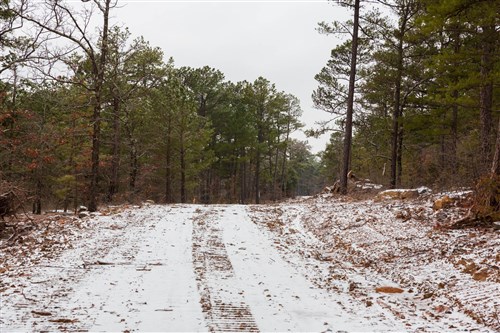 Stone Bridge Phase IV Tract 259