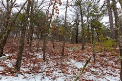Stone Bridge Phase IV Tract 259