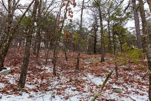 Stone Bridge Phase IV Tract 259
