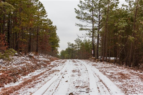 Stone Bridge Phase IV Tract 264