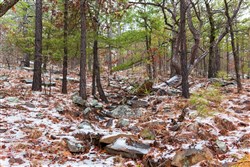 Stone Bridge Phase IV Tract 264