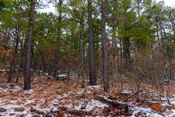 Stone Bridge Phase IV Tract 264