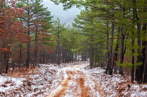 Stone Bridge Phase IV Tract 265