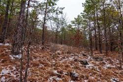 Stone Bridge Phase IV Tract 265