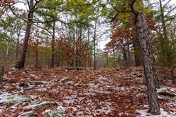 Stone Bridge Phase IV Tract 265