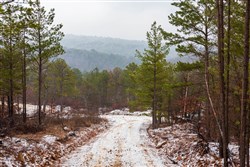 Stone Bridge Phase IV Tract 265