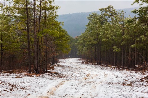 Stone Bridge Phase IV Tract 275