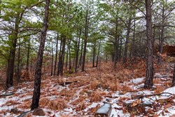 Stone Bridge Phase IV Tract 275