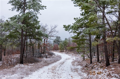 Stone Bridge Phase IV Tract 276