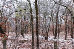 Stone Bridge Phase IV Tract 276