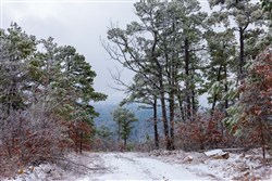 Stone Bridge Phase IV Tract 276
