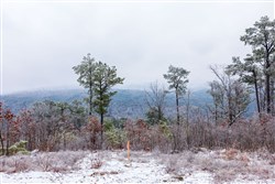 Stone Bridge Phase IV Tract 276