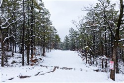 Stone Bridge Phase IV Tract 299