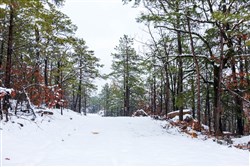 Stone Bridge Phase IV Tract 299