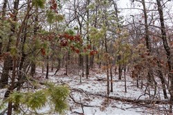 property photo for Stone Bridge Phase IV Tract 303, 8.04 acres for sale in LatimerHaskell County, Oklahoma