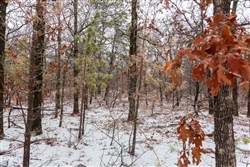 property photo for Stone Bridge Phase IV Tract 303, 8.04 acres for sale in LatimerHaskell County, Oklahoma
