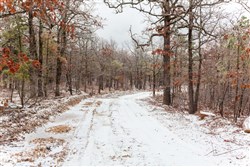 property photo for Stone Bridge Phase IV Tract 303, 8.04 acres for sale in LatimerHaskell County, Oklahoma