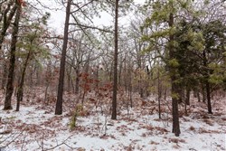 property photo for Stone Bridge Phase IV Tract 303, 8.04 acres for sale in LatimerHaskell County, Oklahoma