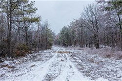 Stone Bridge Phase IV Tract 317