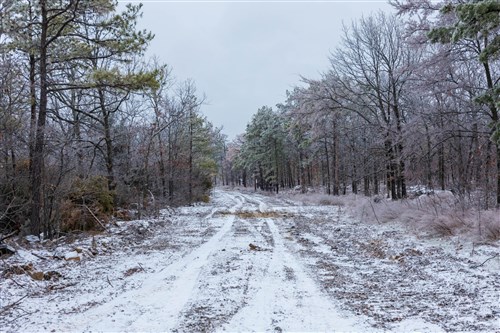 Stone Bridge Phase IV Tract 317
