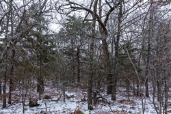 Stone Bridge Phase IV Tract 317