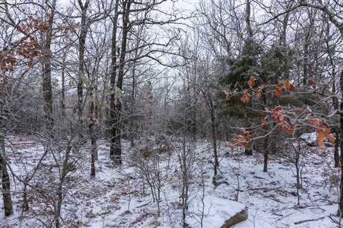 Stone Bridge Phase IV Tract 317