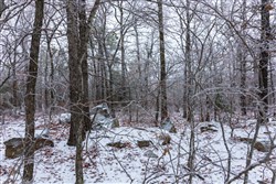 Stone Bridge Phase IV Tract 317