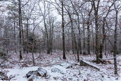 Stone Bridge Phase IV Tract 317