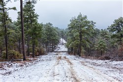 property photo for Stone Bridge Phase IV Tract 318, 9.04 acres for sale in LatimerHaskell County, Oklahoma