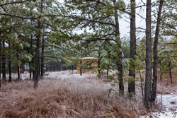 property photo for Stone Bridge Phase IV Tract 318, 9.04 acres for sale in LatimerHaskell County, Oklahoma