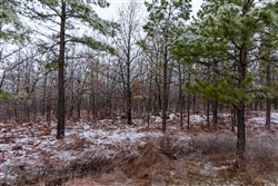 property photo for Stone Bridge Phase IV Tract 318, 9.04 acres for sale in LatimerHaskell County, Oklahoma