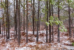 property photo for Stone Bridge Phase IV Tract 318, 9.04 acres for sale in LatimerHaskell County, Oklahoma