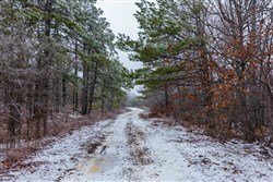 property photo for Stone Bridge Phase IV Tract 318, 9.04 acres for sale in LatimerHaskell County, Oklahoma