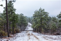 Stone Bridge Phase IV Tract 319