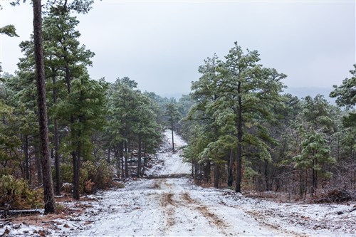 Stone Bridge Phase IV Tract 319