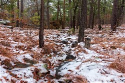 Stone Bridge Phase IV Tract 319