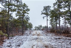 Stone Bridge Phase IV Tract 319