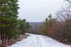 Stone Bridge Phase IV Tract 324