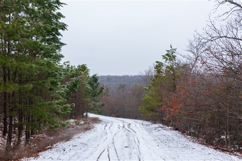 Stone Bridge Phase IV Tract 324