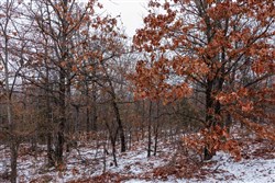 Stone Bridge Phase IV Tract 324