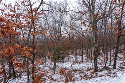 Stone Bridge Phase IV Tract 324