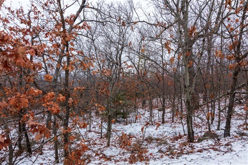 Stone Bridge Phase IV Tract 324