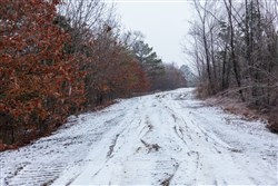 Stone Bridge Phase IV Tract 324