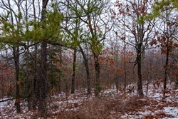 Stone Bridge Phase IV Tract 324