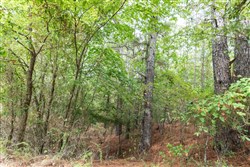 property photo for Stone Bridge Phase V Tract 325, 16.01 acres for sale in LatimerHaskell County, Oklahoma